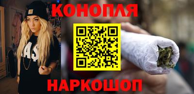 сатива Новозыбков
