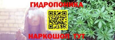 сатива Новозыбков