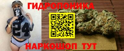 сатива Новозыбков