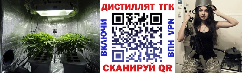 сколько стоит  Тихорецк  Дистиллят ТГК гашишное масло 