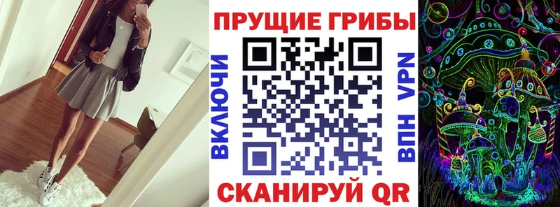 Псилоцибиновые грибы мицелий  Тихорецк 
