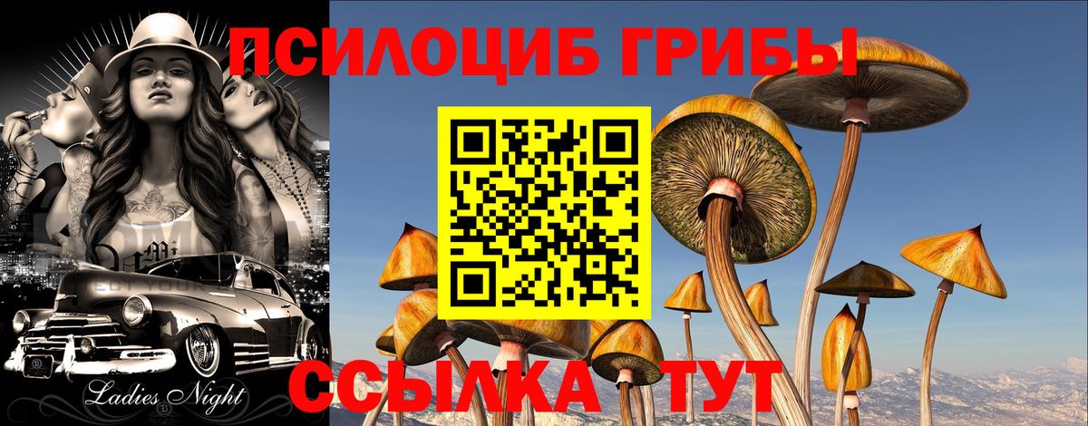 Псилоцибиновые грибы ЛСД  Галлюциногенные грибы мицелий  Тихорецк  Вход с VPN 
